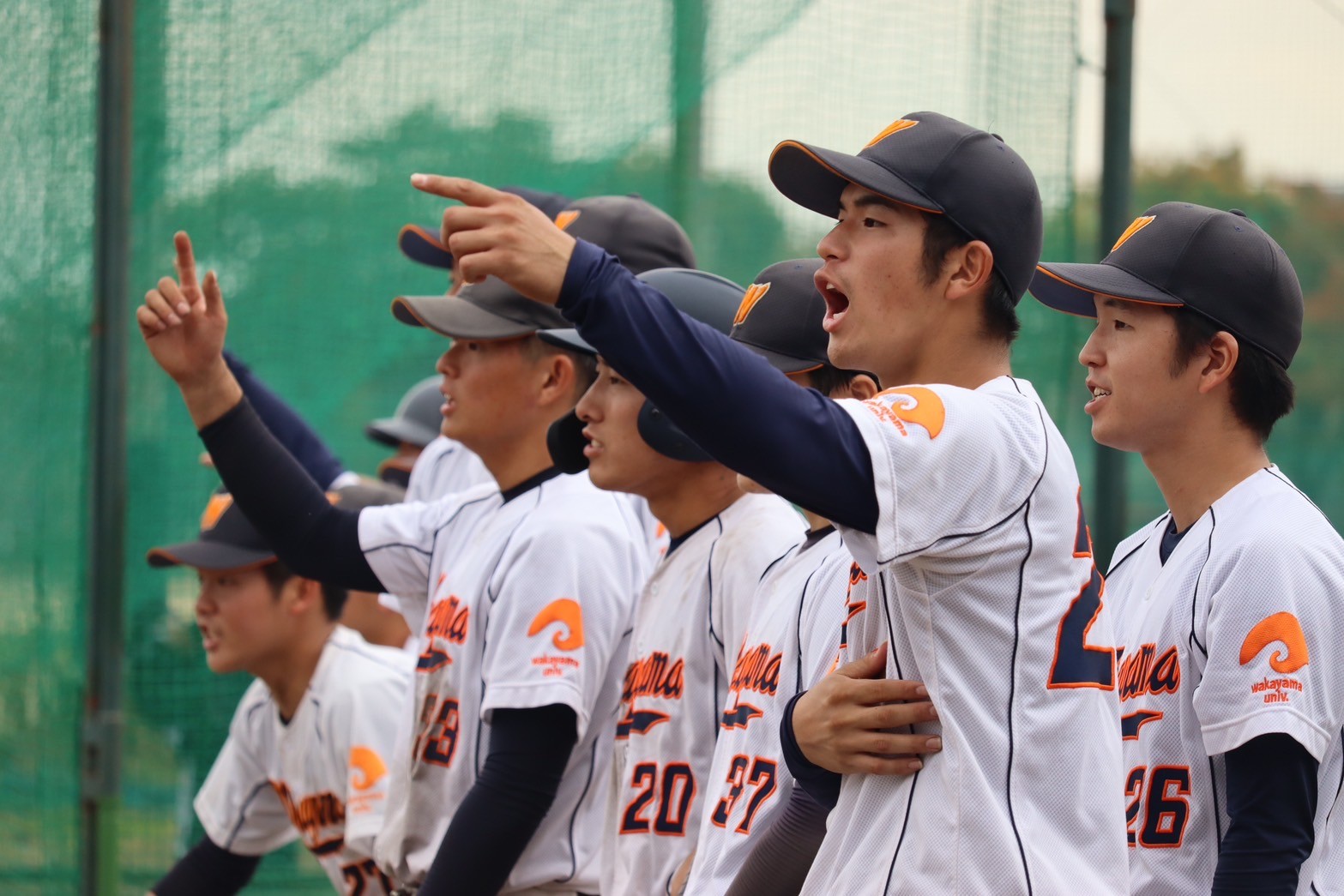 野球部の活動